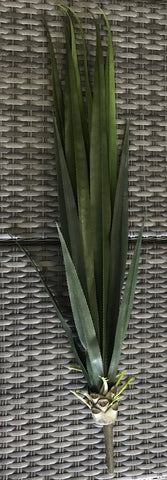 52'' AGAVE GREEN