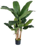 60'' TRIPPLE BANANA 21LVS