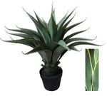 AGAVE 60CM