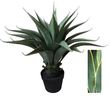 AGAVE 60CM