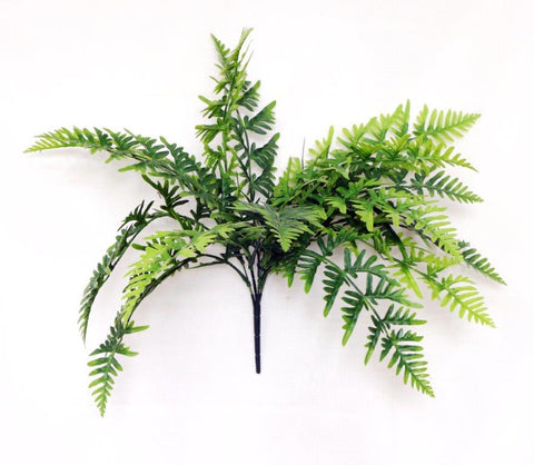 6OCM HANGING FERN UV