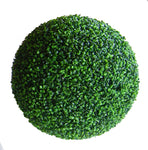 BOXWOOD BALL