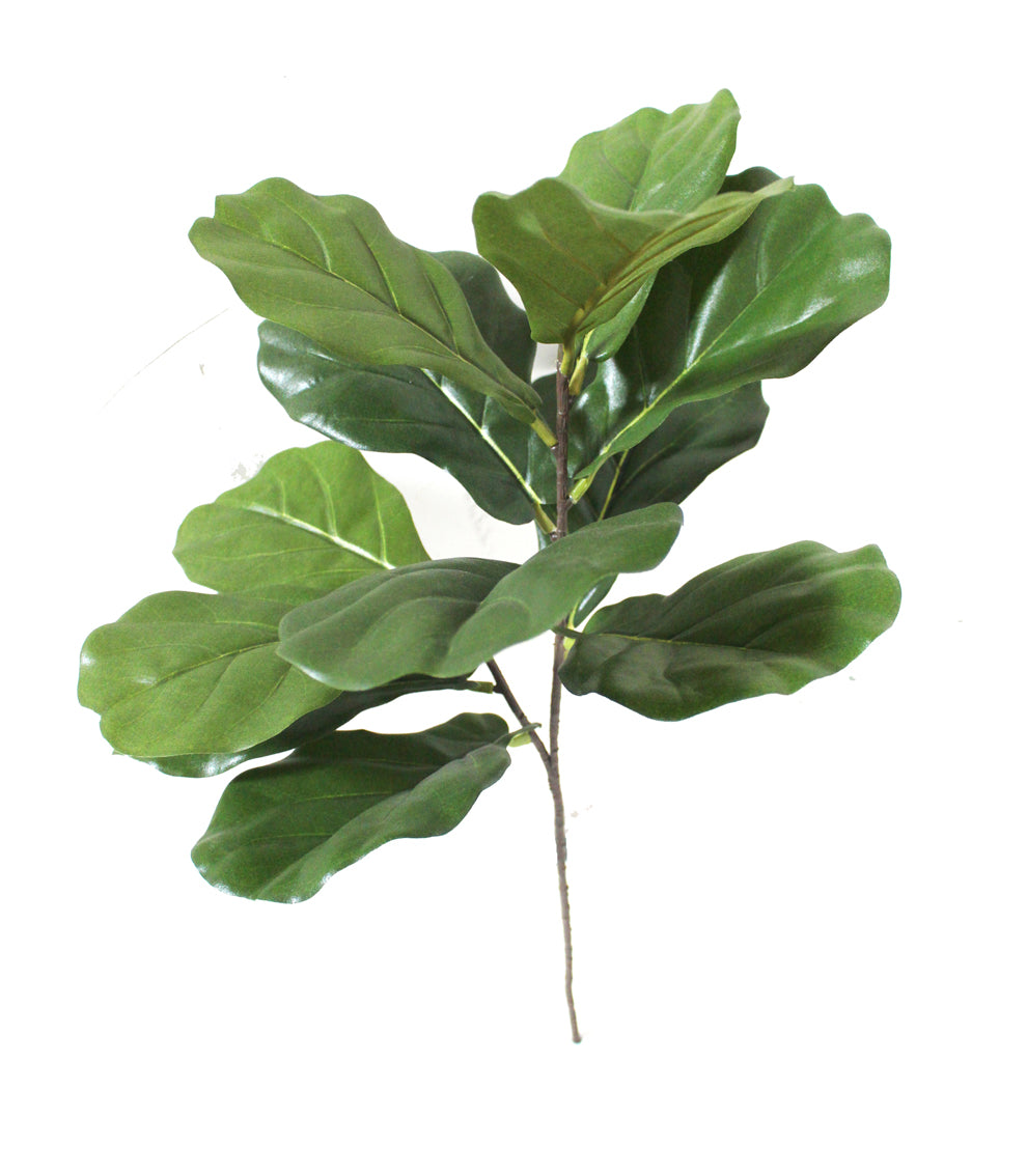 fig leaf x2 spray