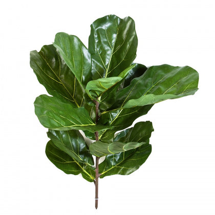 FIG LEAF X11 SPRAY