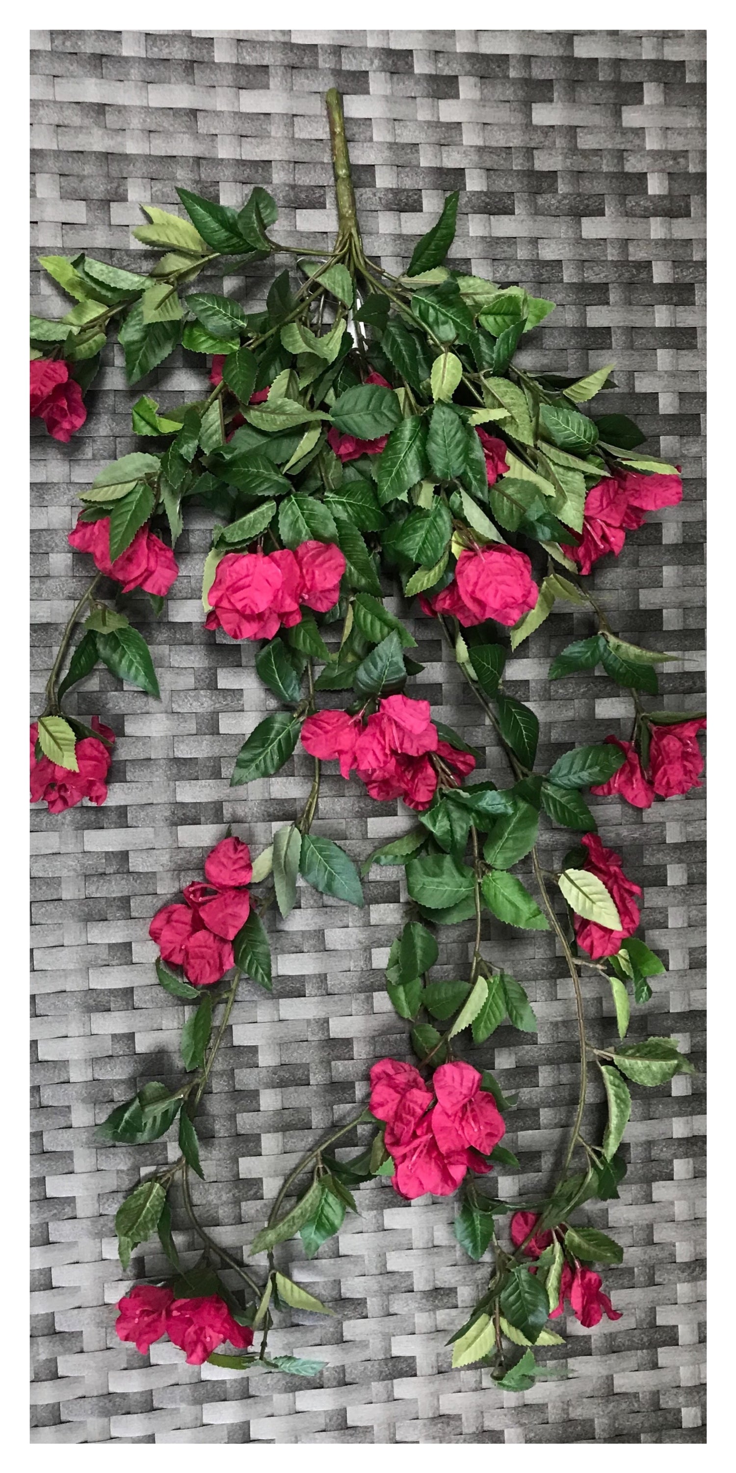 bougainvillea bush  28''