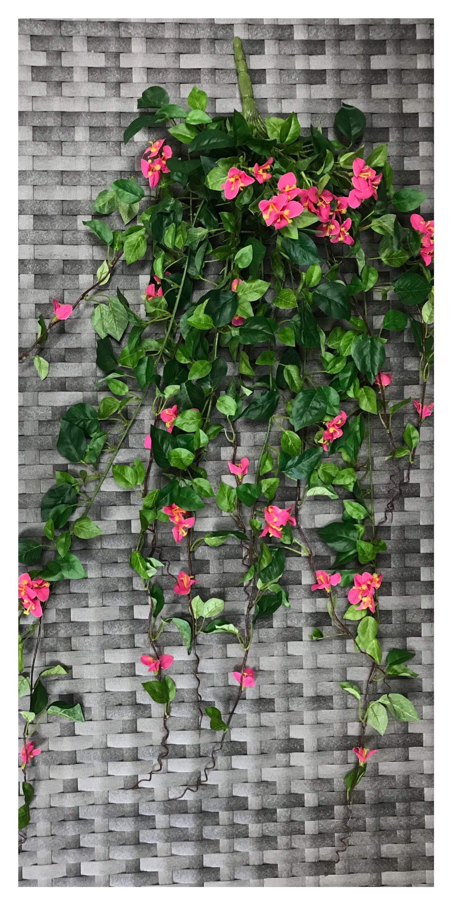 bougainvillea bush 35'' 411lvs