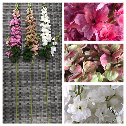 DELPHINIUM