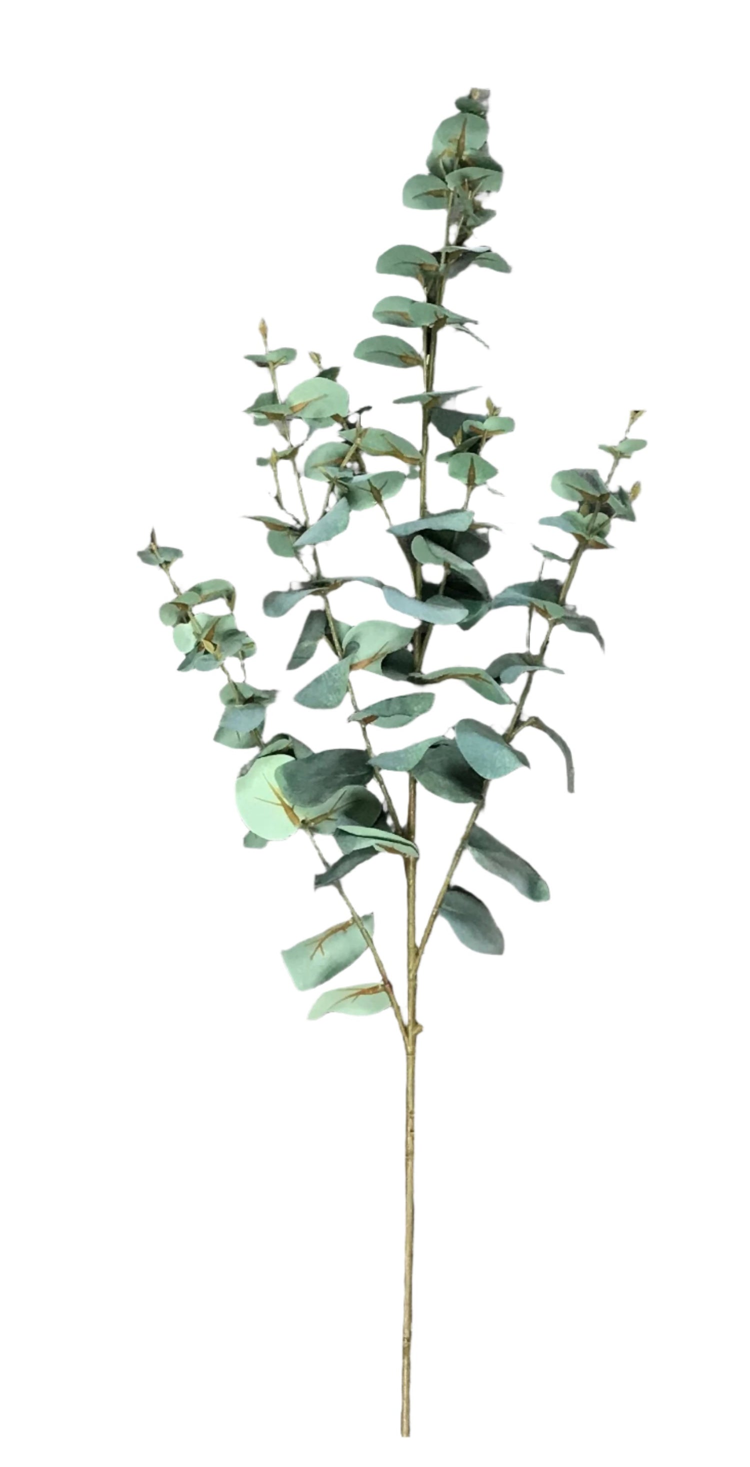 eucalyptus spray 130cm f/green