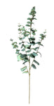 EUCALYPTUS SPRAY 130CM F/GREEN