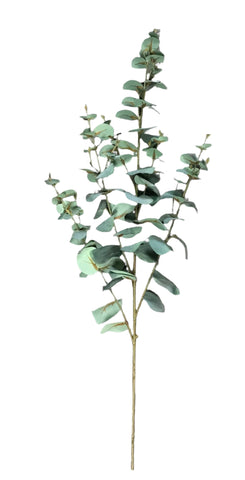 EUCALYPTUS SPRAY 130CM F/GREEN