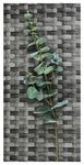 EUCALYPTUS SPRAY 69CM F/GREEN