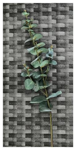 EUCALYPTUS SPRAY 69CM F/GREEN