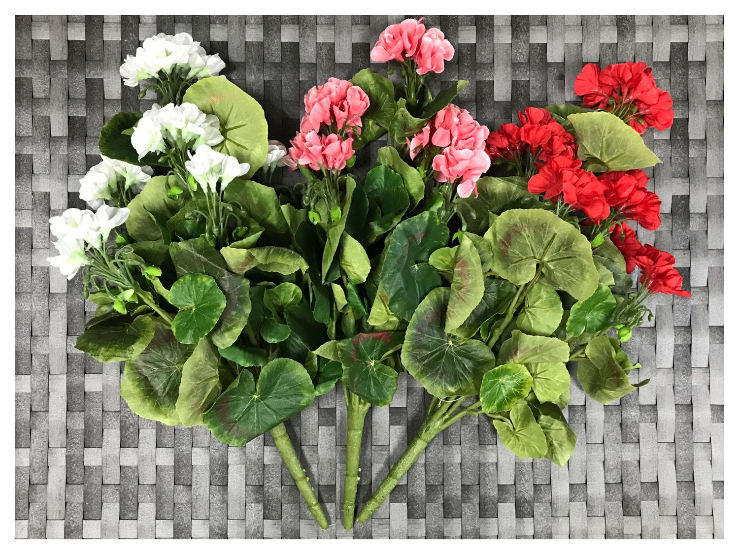 geranium bush 17"