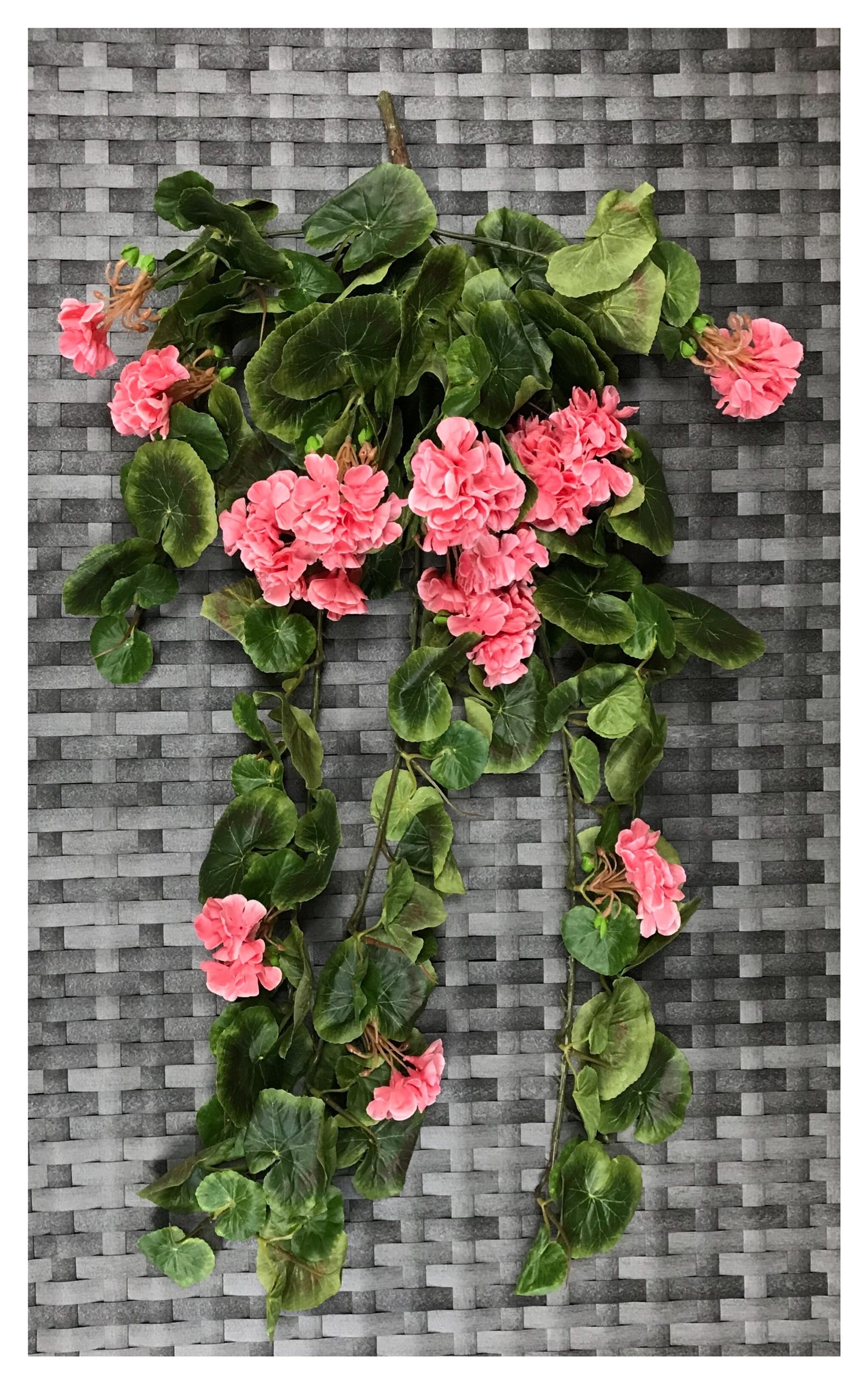 geranium bush 29''