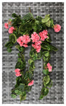 GERANIUM BUSH 29''