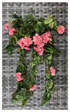 GERANIUM BUSH 29''