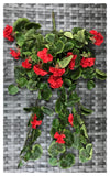 GERANIUM BUSH 29''