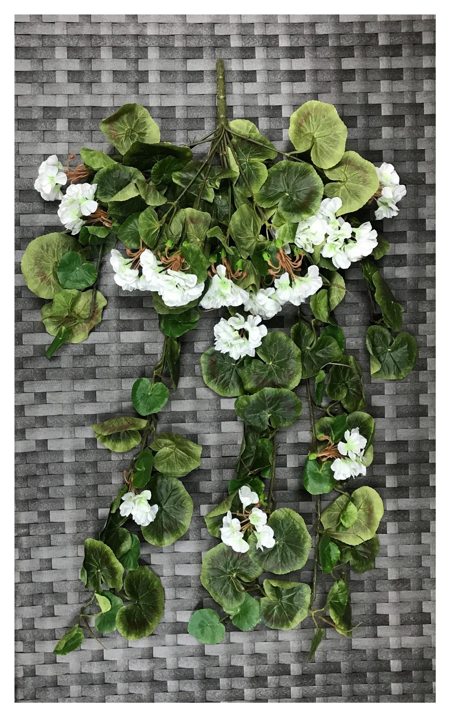 geranium bush 29''