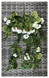 GERANIUM BUSH 29''