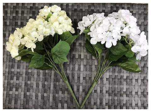 HYDRANGEA BUSH