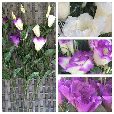 LIZIANTHUS