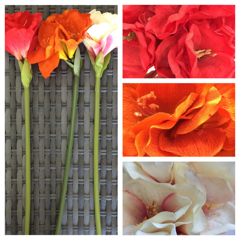 AMMARYLIS X3 FLOWER