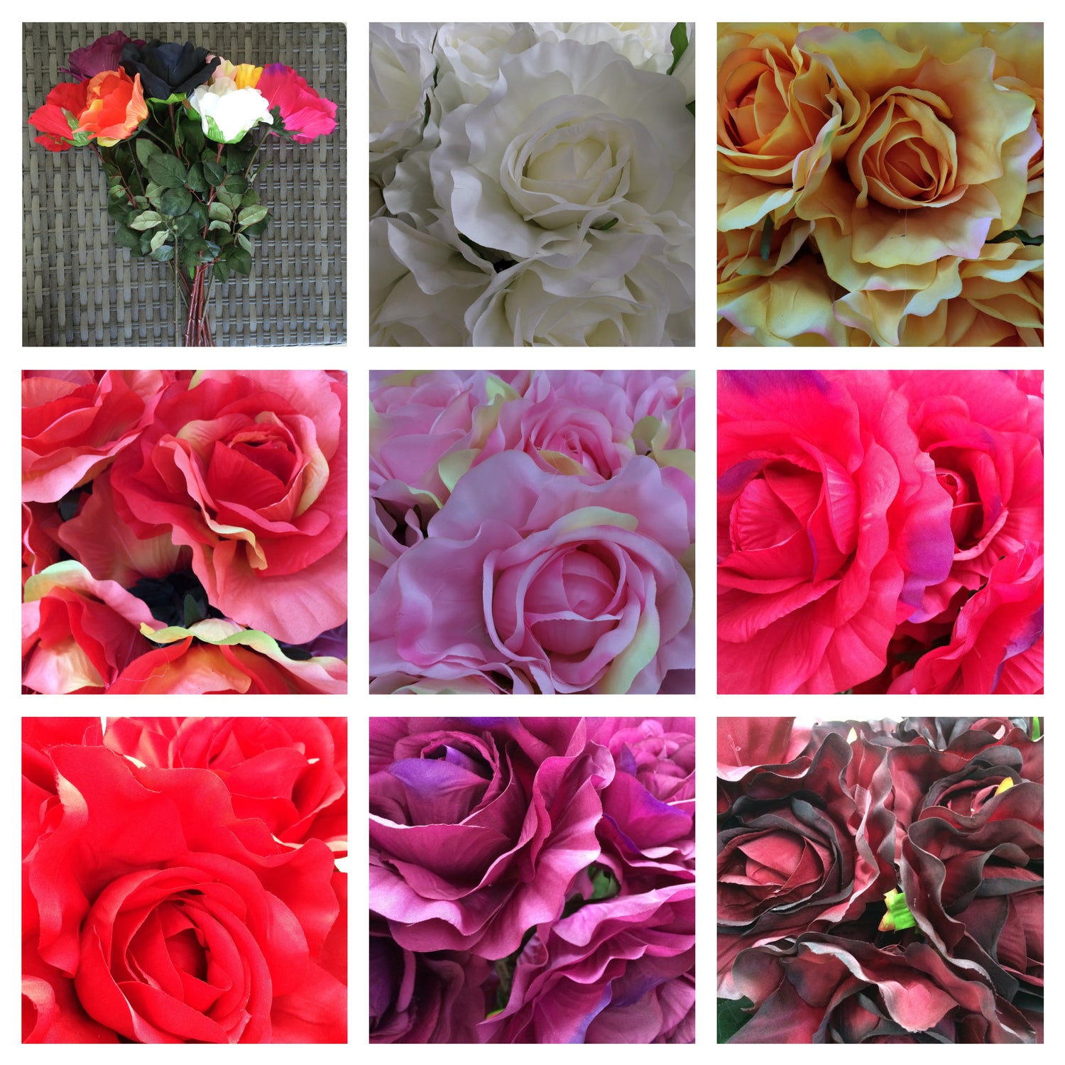 rose lrg
