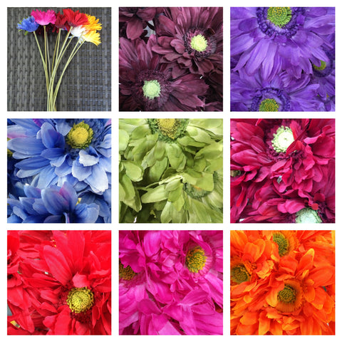 GERBERA LRG