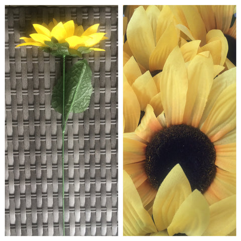 SUNFLOWER SINGLE LRG