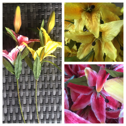 RUBRUM LILLY PINK