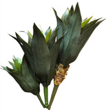 AGAVE