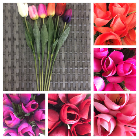 TULIP SINGLE