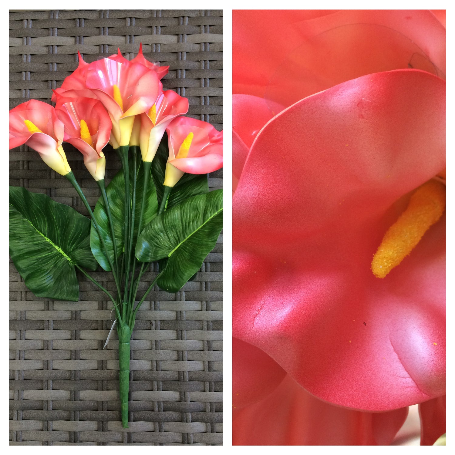 calla lilly bushx 7