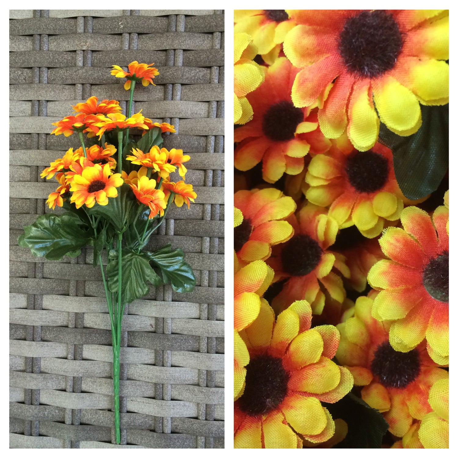 sunflower bush x 18