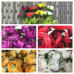 CAMELIA X 2 PURPLE