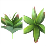 11 AGAVE 19LVS GREEN/RED