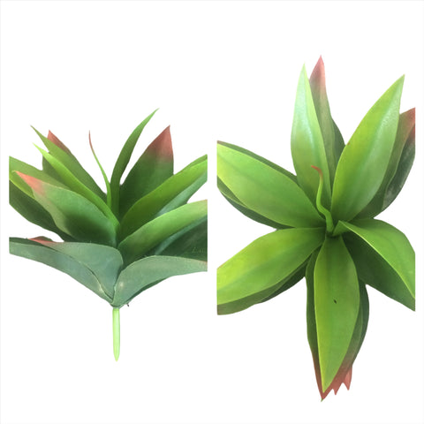 11 AGAVE 19LVS GREEN/RED