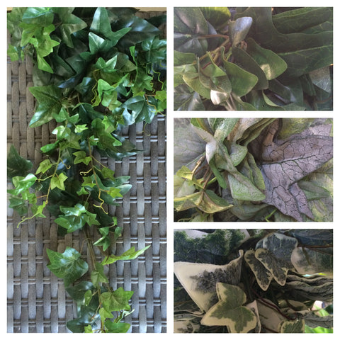 IVY BUSH 33''