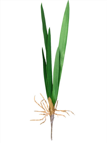 ORCHID LEAVES 55CM