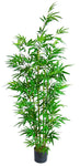 JAPANESE BAMBOO