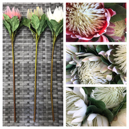 KING PROTEA