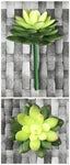 SUC MINI DIAM LOTUS 5'' GREEN CREAM