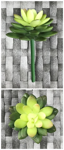 SUC MINI DIAM LOTUS 5'' GREEN CREAM