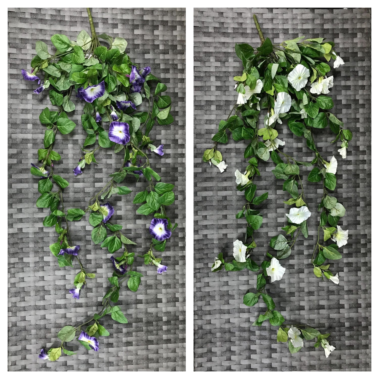 petunia bush 48"