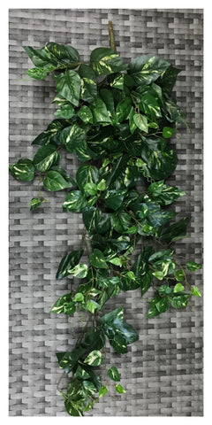 POTHOS BUSH 43'' 235 LVS