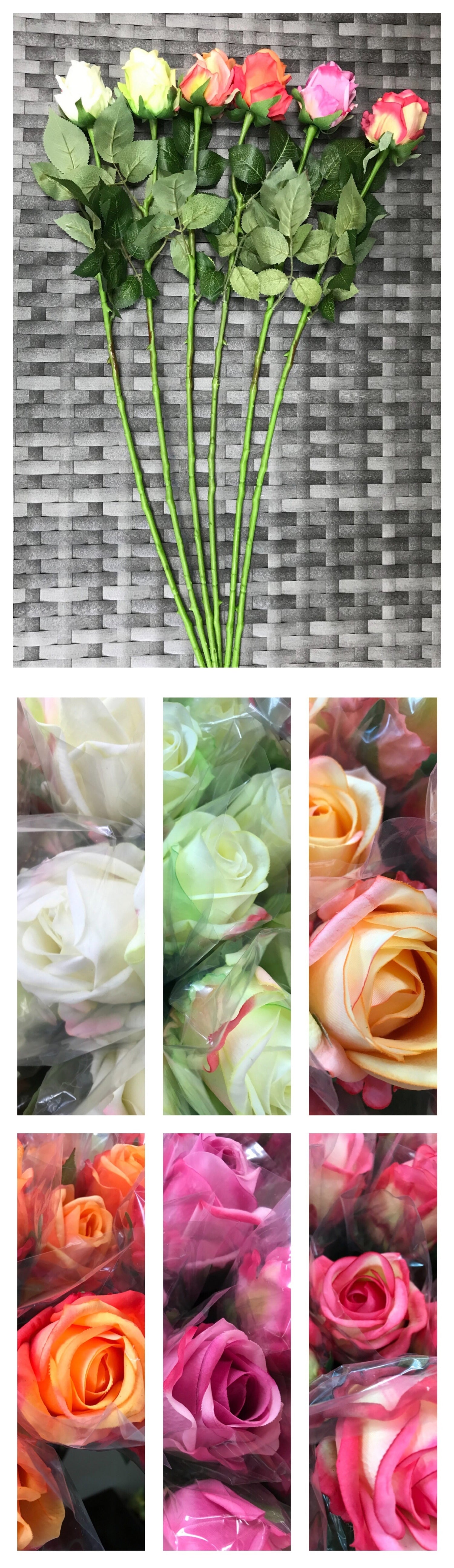rose tf 65cm