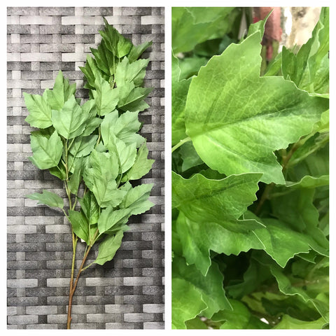 WATER CREST LEAF