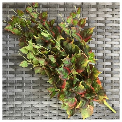 ivy nat/t danica ivy bush 231 green red