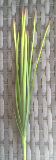 grass bush 45cm green